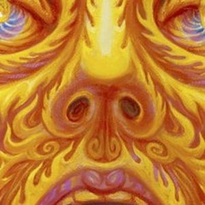 Meet your Posher, Adam